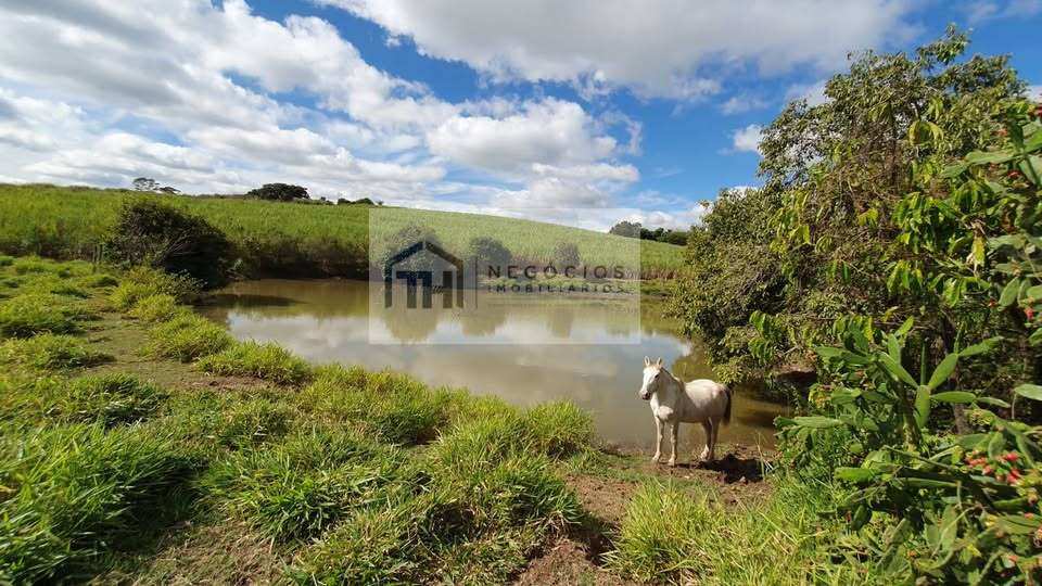 Sítio à venda, com 3 quartos, 2ha - TH Negócios Imobiliários
